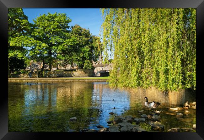 River Wye at Bakewell                        Framed Print by Darren Galpin