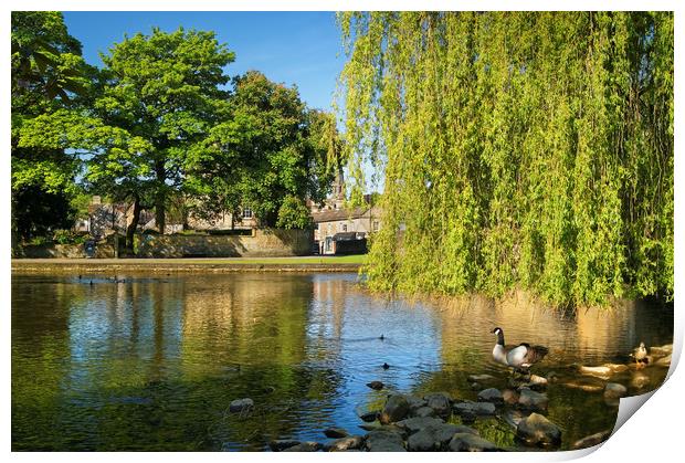 River Wye at Bakewell                        Print by Darren Galpin