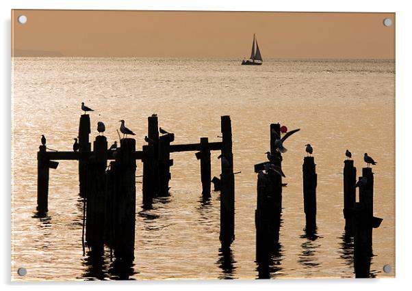 Gulls on old pier Acrylic by Tony Bates