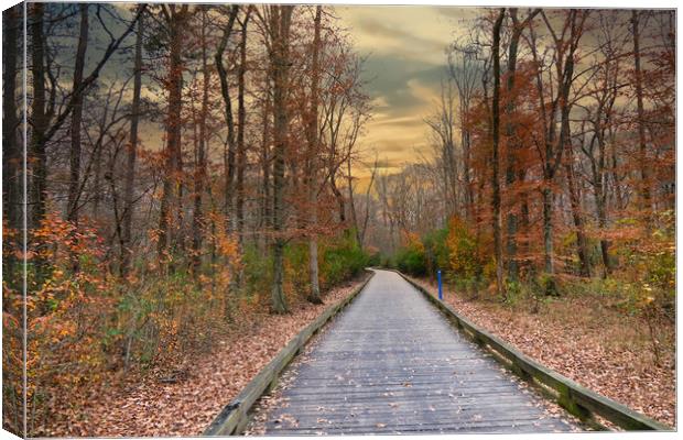 Autumn on the Greenway Canvas Print by Darryl Brooks