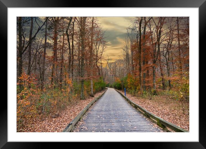 Autumn on the Greenway Framed Mounted Print by Darryl Brooks