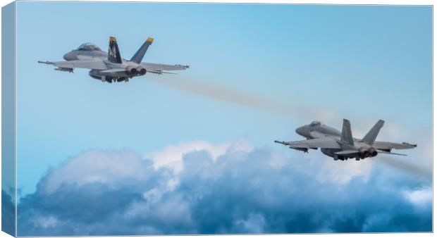 Hornets Departure Canvas Print by Gareth Burge Photography