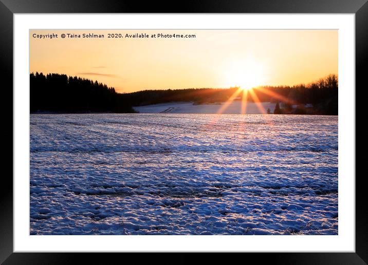Winter Sunset and Snowy Field Framed Mounted Print by Taina Sohlman