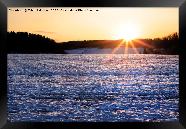 Winter Sunset and Snowy Field Framed Print by Taina Sohlman