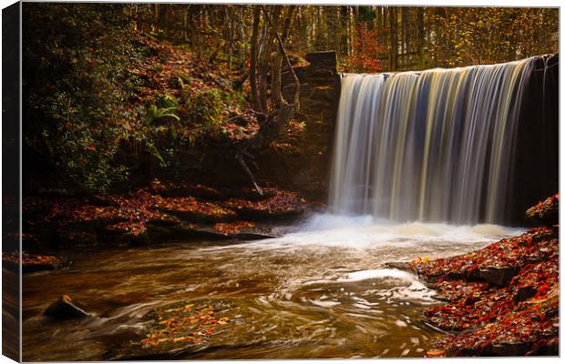 Autumn Waterfall Canvas Print by Wendy Williams CPAGB