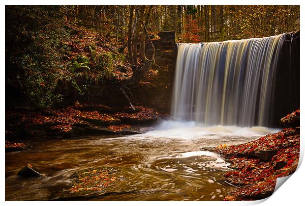 Autumn Waterfall Print by Wendy Williams CPAGB