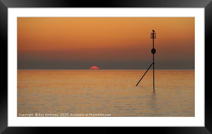 At The End Of The Day Framed Mounted Print by Ros Ambrose