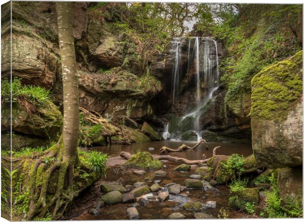 Roughtin Linn in Northumberland Canvas Print by Marcia Reay
