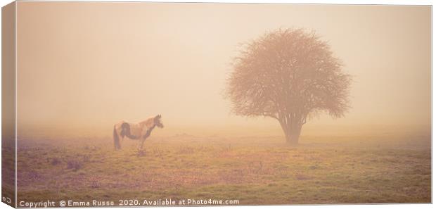 Horse and tree in the early morning mist Canvas Print by Emma Russo