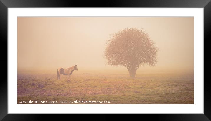 Horse and tree in the early morning mist Framed Mounted Print by Emma Russo