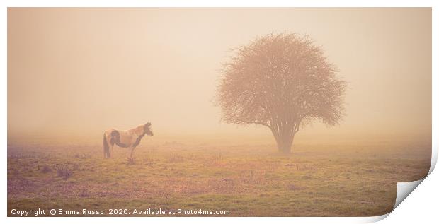 Horse and tree in the early morning mist Print by Emma Russo