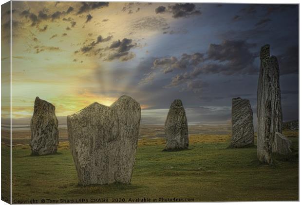 CALLANISH STANDING STONES - ISLE OF LEWIS  Canvas Print by Tony Sharp LRPS CPAGB