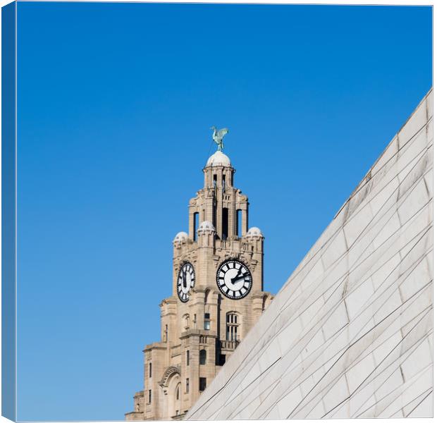 Square crop of the Liverbird Canvas Print by Jason Wells