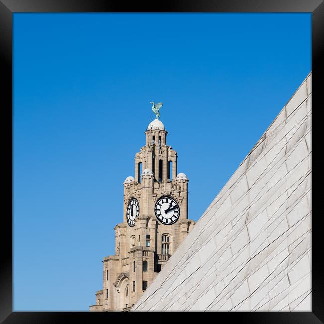 Square crop of the Liverbird Framed Print by Jason Wells