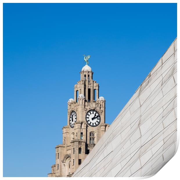 Square crop of the Liverbird Print by Jason Wells