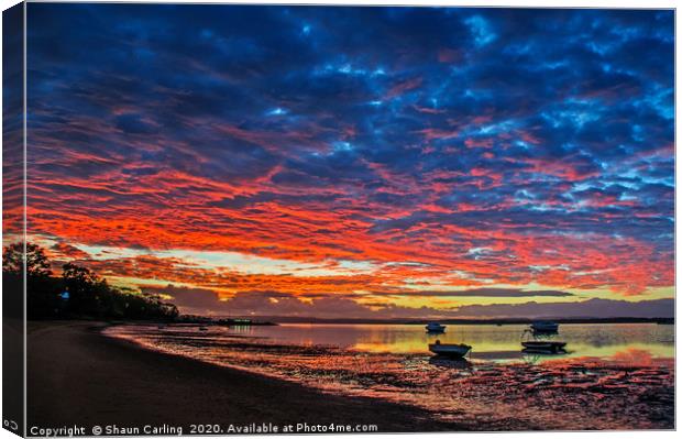 Victoria Point Sunrise, Australia Canvas Print by Shaun Carling