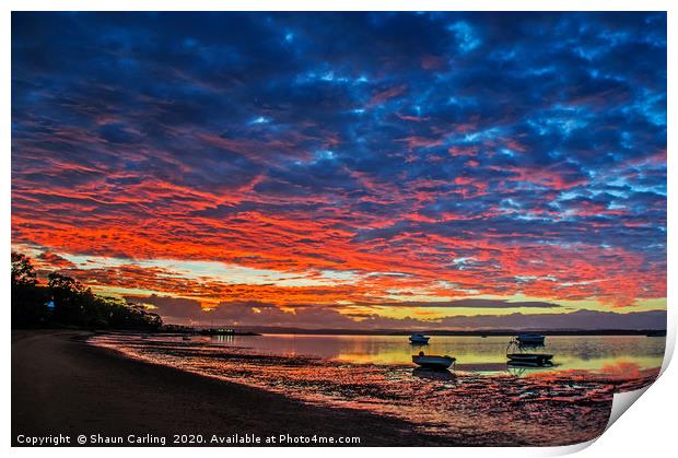 Victoria Point Sunrise, Australia Print by Shaun Carling