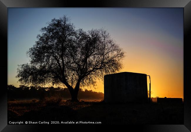 Australian Bush Sunrise Framed Print by Shaun Carling