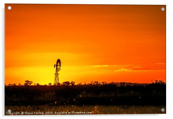 Australian Outback Sunset Acrylic by Shaun Carling