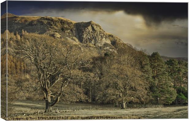 WALLA CRAG, DERWENT WATER IN THE LATE AFTERNOON Canvas Print by Tony Sharp LRPS CPAGB