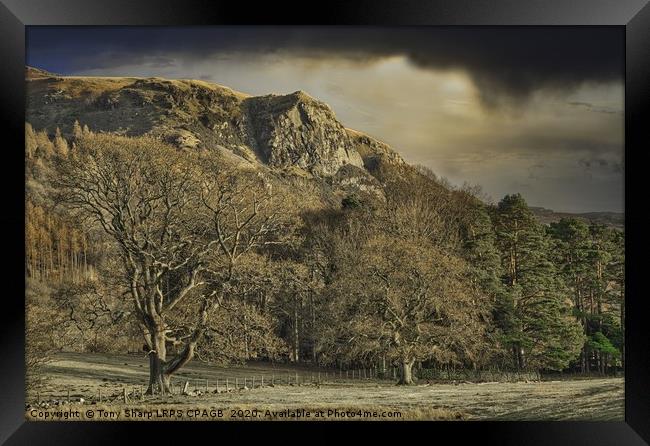 WALLA CRAG, DERWENT WATER IN THE LATE AFTERNOON Framed Print by Tony Sharp LRPS CPAGB