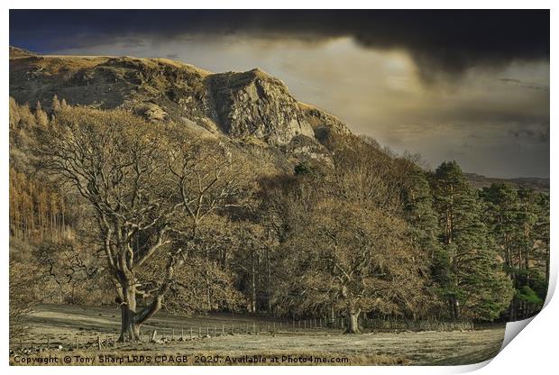WALLA CRAG, DERWENT WATER IN THE LATE AFTERNOON Print by Tony Sharp LRPS CPAGB