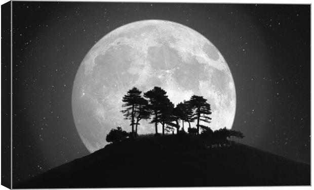 Colmer's Moon Canvas Print by David Neighbour
