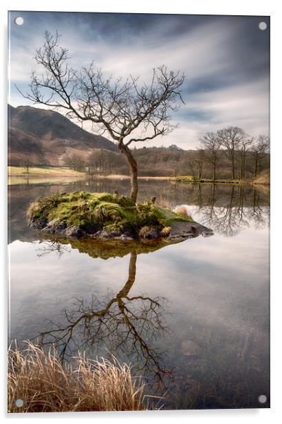 Lone Tree on Rydal Water, Ambleside Acrylic by Ann Goodall