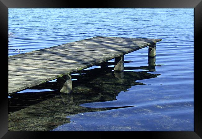 Lakeside jetty Framed Print by Ashley Paddon