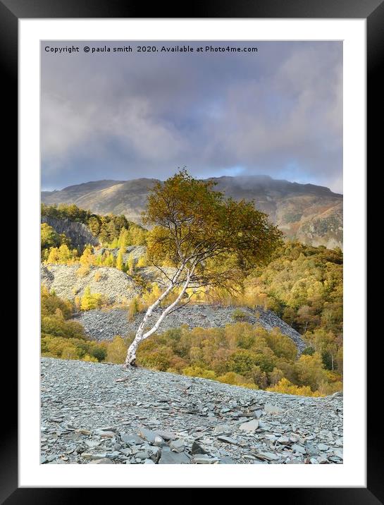 Hodge Close Quarry Framed Mounted Print by paula smith