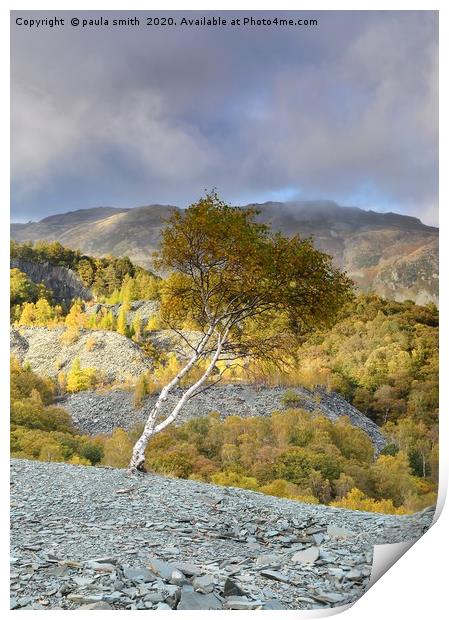 Hodge Close Quarry Print by paula smith