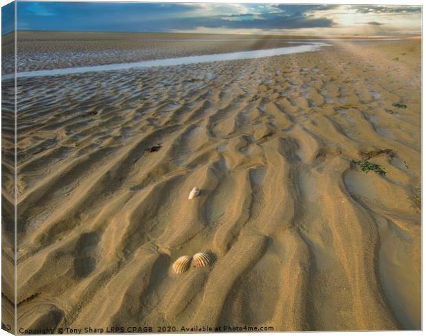 RYE HARBOUR SANDS Canvas Print by Tony Sharp LRPS CPAGB