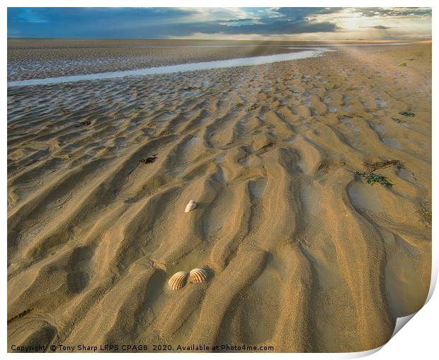 RYE HARBOUR SANDS Print by Tony Sharp LRPS CPAGB