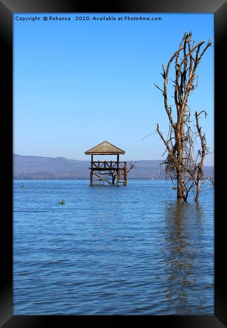 Lake Naivasha, flooded   Framed Print by Rehanna Neky
