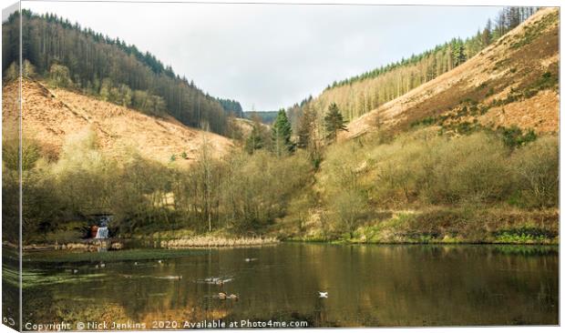The Upper Pond Clydach Vale Rhondda Valley Canvas Print by Nick Jenkins