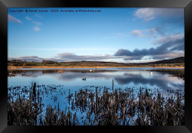 Winter view across the lake towards the reed beds Framed Print by Derek Corner