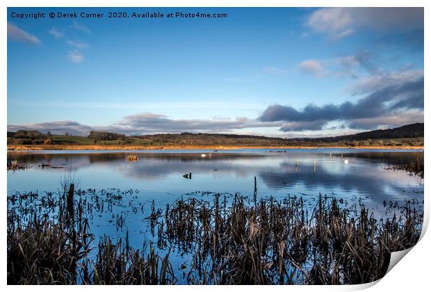 Winter view across the lake towards the reed beds Print by Derek Corner