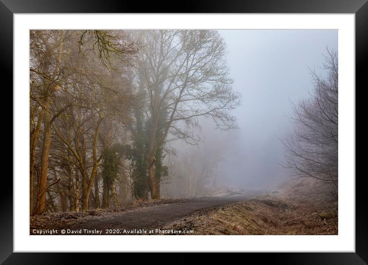 Misty Morning Walk Framed Mounted Print by David Tinsley