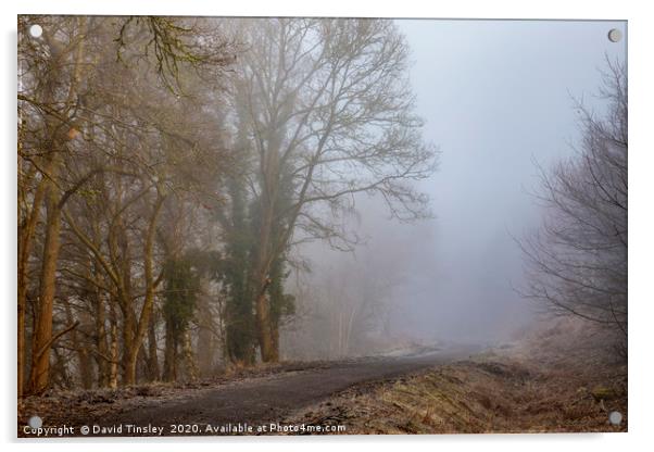 Misty Morning Walk Acrylic by David Tinsley
