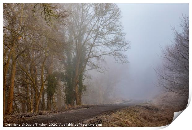 Misty Morning Walk Print by David Tinsley
