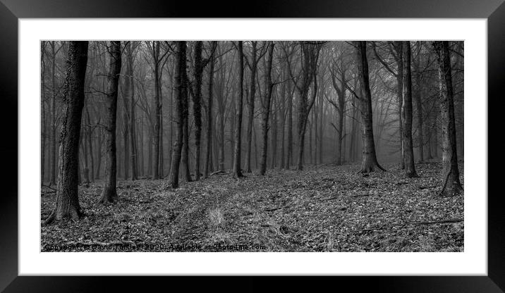 Misty Beech in Monochrome Framed Mounted Print by David Tinsley