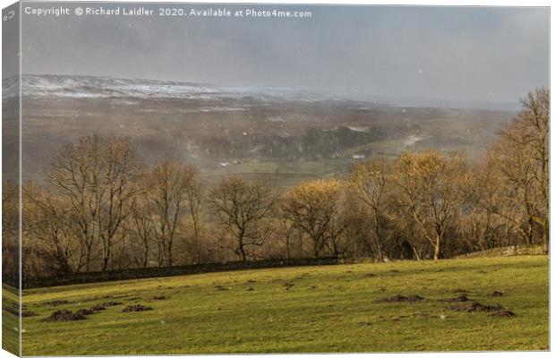 Across to Holwick in Dramatic Light and Snowstorm Canvas Print by Richard Laidler