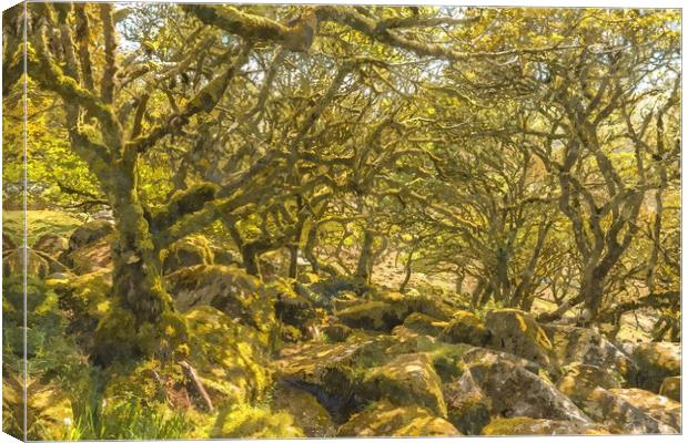 Wistman's Wood Dartmoor Canvas Print by Andrew Michael
