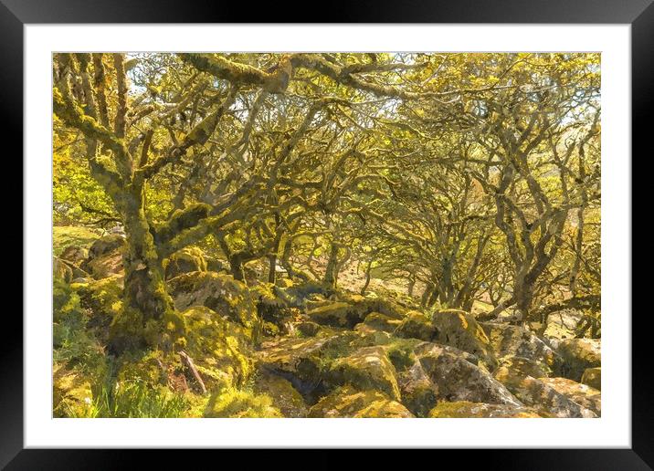 Wistman's Wood Dartmoor Framed Mounted Print by Andrew Michael