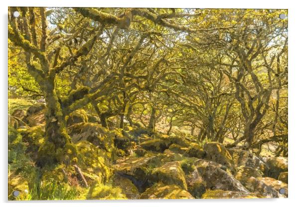Wistman's Wood Dartmoor Acrylic by Andrew Michael