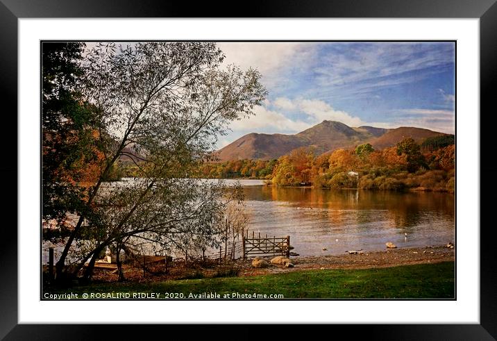 "trees by a breezy lake " Framed Mounted Print by ROS RIDLEY