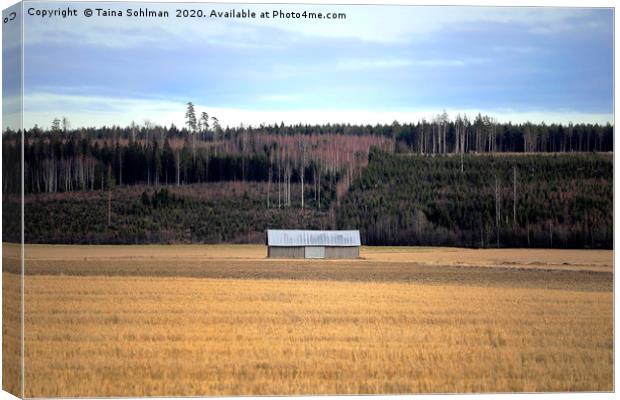 Lonely Barn in Field Canvas Print by Taina Sohlman