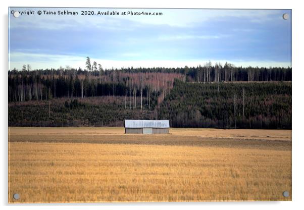 Lonely Barn in Field Acrylic by Taina Sohlman