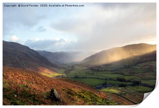 Great Langdale Light, Lake District, Cumbria Print by David Forster