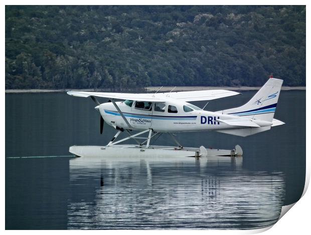 Seaplane on lake Wakatipu Print by Martin Smith